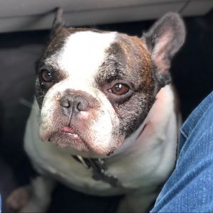 Meet your Posher, Brian